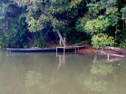 Lago Sandavol (Reserva Nacional Tambopata), Amazon, Peru.